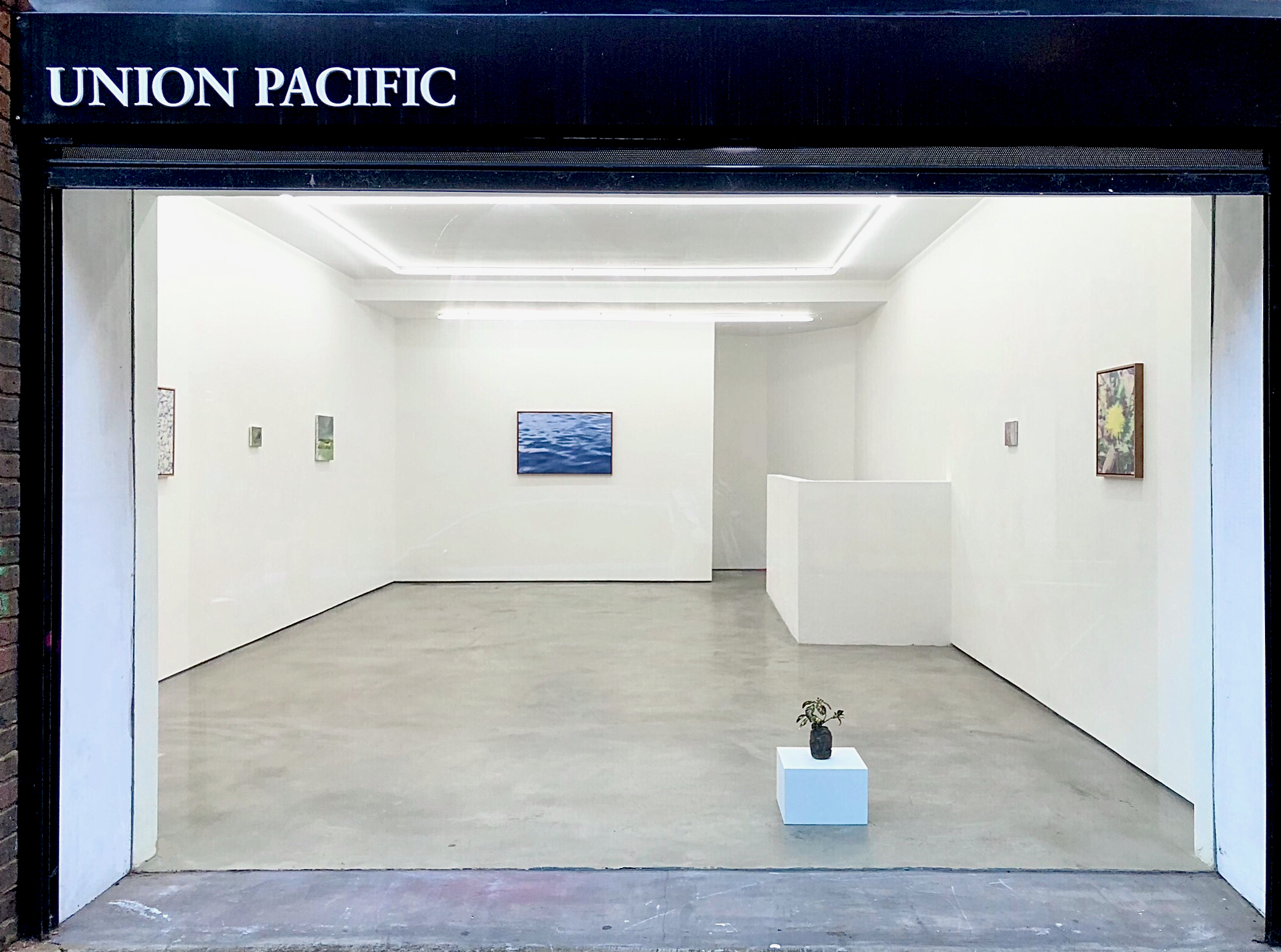 img 8908 レタッチ