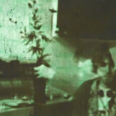 bottle to bottle (Koka Kola #1)