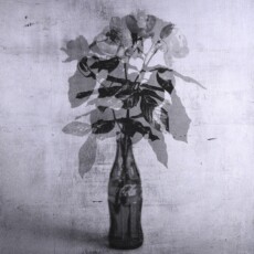 bottle to bottle [Koka Kola #5-1 (silver)]