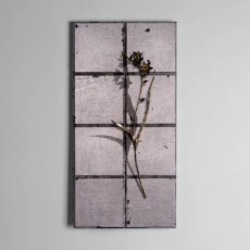 decay remains 2025:9:16:0912