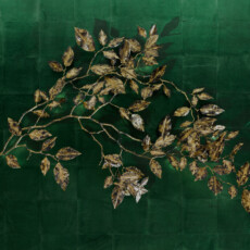 decay remains 2024.9.9 14:24